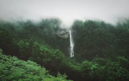 森林 风景 瀑布 薄雾  电脑壁纸 4K壁纸