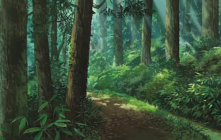  森林 绿色背景 树木 路径  电脑壁纸 4K壁纸