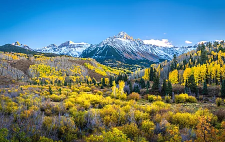 自然 风景 森林 天空 秋天 山 树 电脑壁纸 4K壁纸