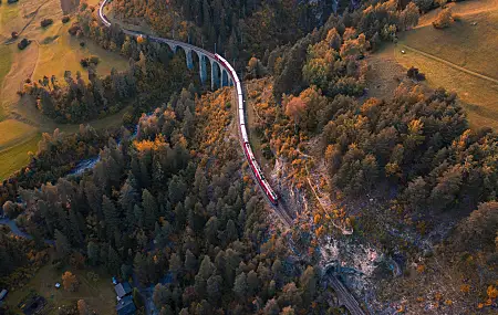 火车 鸟瞰 瑞士 桥梁 铁路 自然 森林 高架桥 隧道  电脑壁纸 4K壁纸