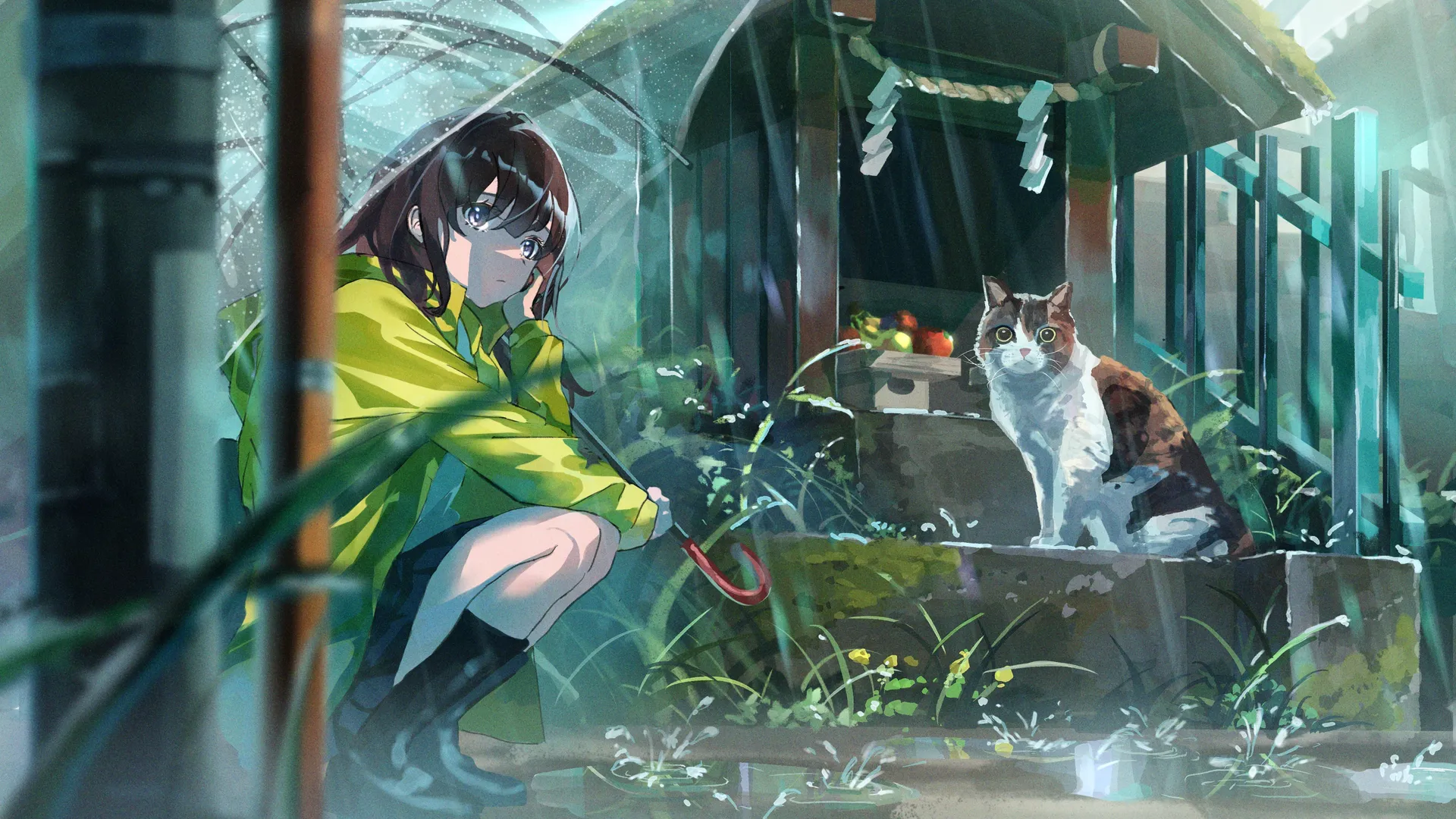 动漫 动漫女孩 猫 雨 伞  电脑壁纸 4K壁纸