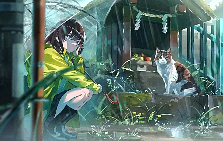 动漫 动漫女孩 猫 雨 伞  电脑壁纸 4K壁纸