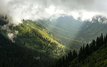 蒙大拿州 云 森林 风景 山谷 落基山脉 阳光 自然 山脉 阳光 绿色 电脑壁纸 8K壁纸
