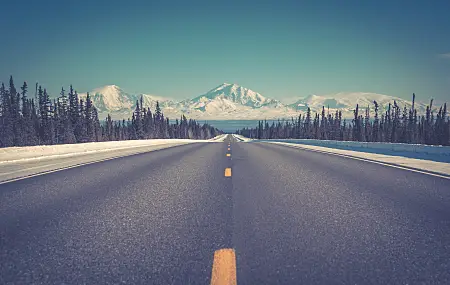 森林 雪 山脉 风景 树木 冬天 松树 阿拉斯加 北欧风景 沥青  电脑壁纸 4K壁纸