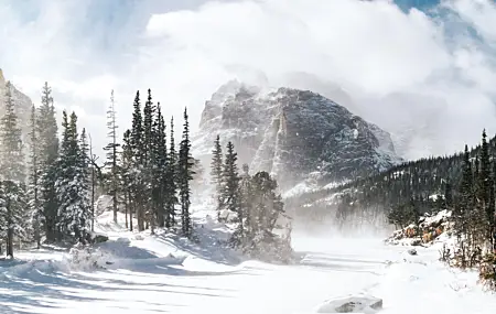 自然 风景 冬天 雪 雾 山 树  电脑壁纸 4K壁纸