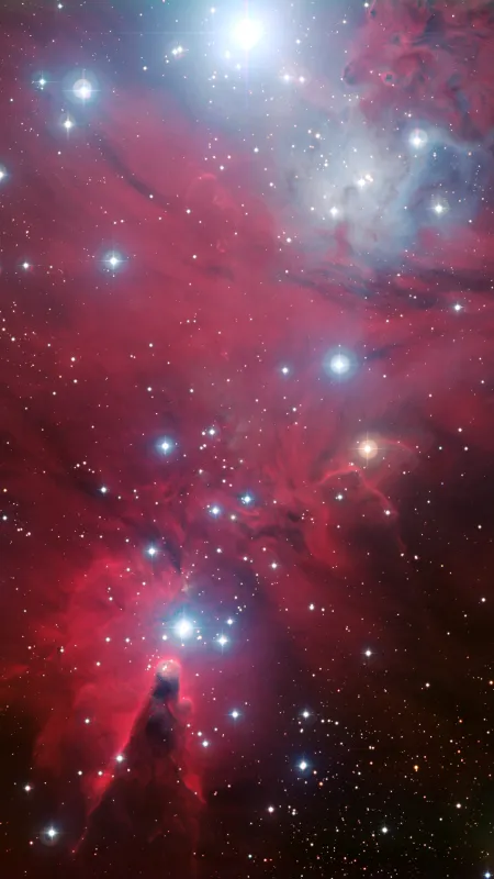 太空 伽利 恒星 宇宙 星空 手机壁纸 8K壁纸