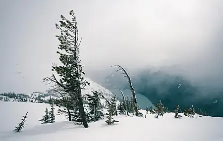 风景 自然 雪 雾 云 山景  电脑壁纸 4K壁纸