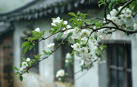 古典 屋檐 白色 花朵 电脑贴纸 4K贴纸