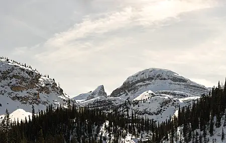 自然 景观 森林 雪 冬季 山脉 全景 悬崖 卷云  电脑贴纸 8K贴纸