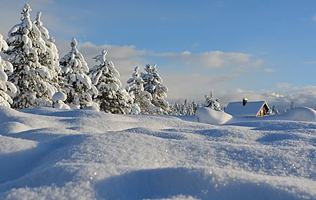 雪 白雪 松树 木屋 冬天 白色 寒冷 风景 电脑壁纸 4K壁纸