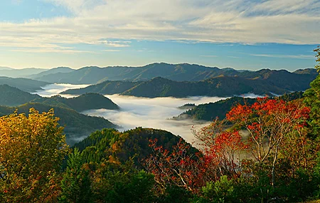 自然 风景 树木 天空 云 森林 山脉 薄雾 山景 秋天 4K壁纸