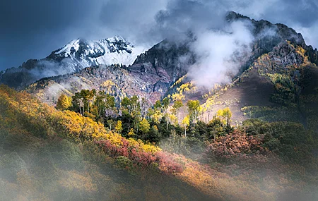 摄影 风景 山脉 云 森林 树木 雾 雪 4K壁纸