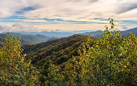 云 森林 自然 景观 山脉 山景 树木 4K壁纸