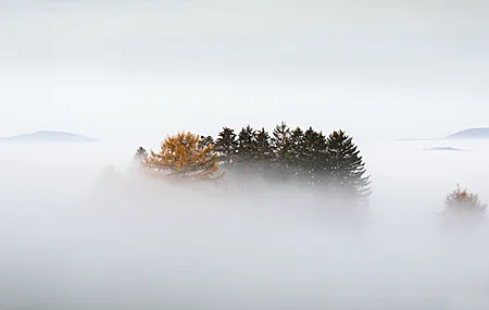 自然 树木 云 山雾 天空 秋天 4K壁纸