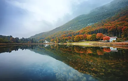 自然 景观 树木 森林 云 水湖 清水 倒影 植物 房屋 秋天 4K壁纸