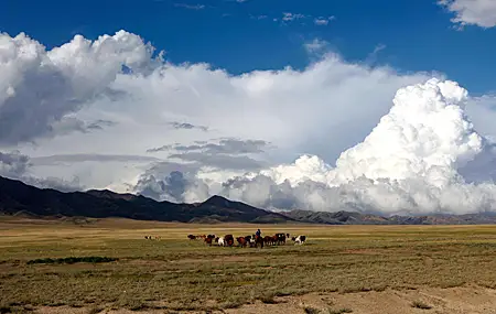 云 积雨云 牛 动物 自然 景观 山脉 草地 平原 牛群 4K壁纸