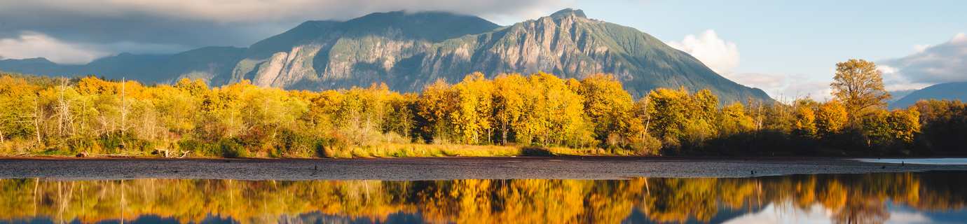 15315+份高清 4K / 8K 壁纸图片提供免费下载！