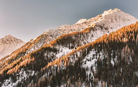 山脉 阿尔卑斯山 雪 自然 风景 雪峰 雪山  4K壁纸