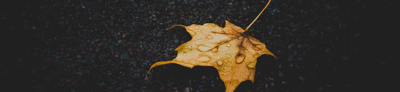 11550+份高清 4K / 8K 壁纸图片提供免费下载！