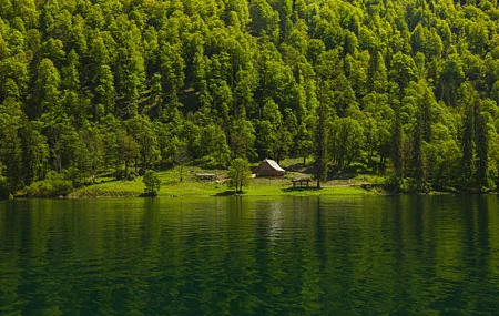 森林 水 绿色 倒影 树木 山脉 房屋 河流 风景 自然 丘陵 木屋 4K壁纸