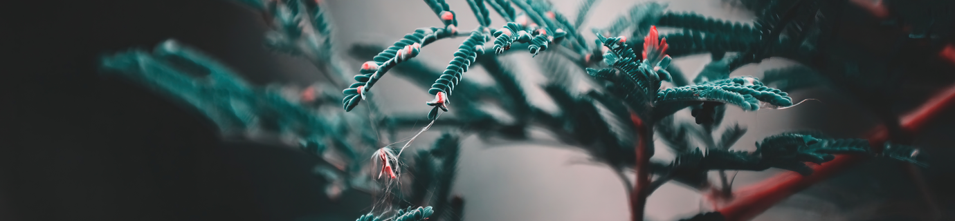 11550+份高清 4K / 8K 壁纸图片提供免费下载！