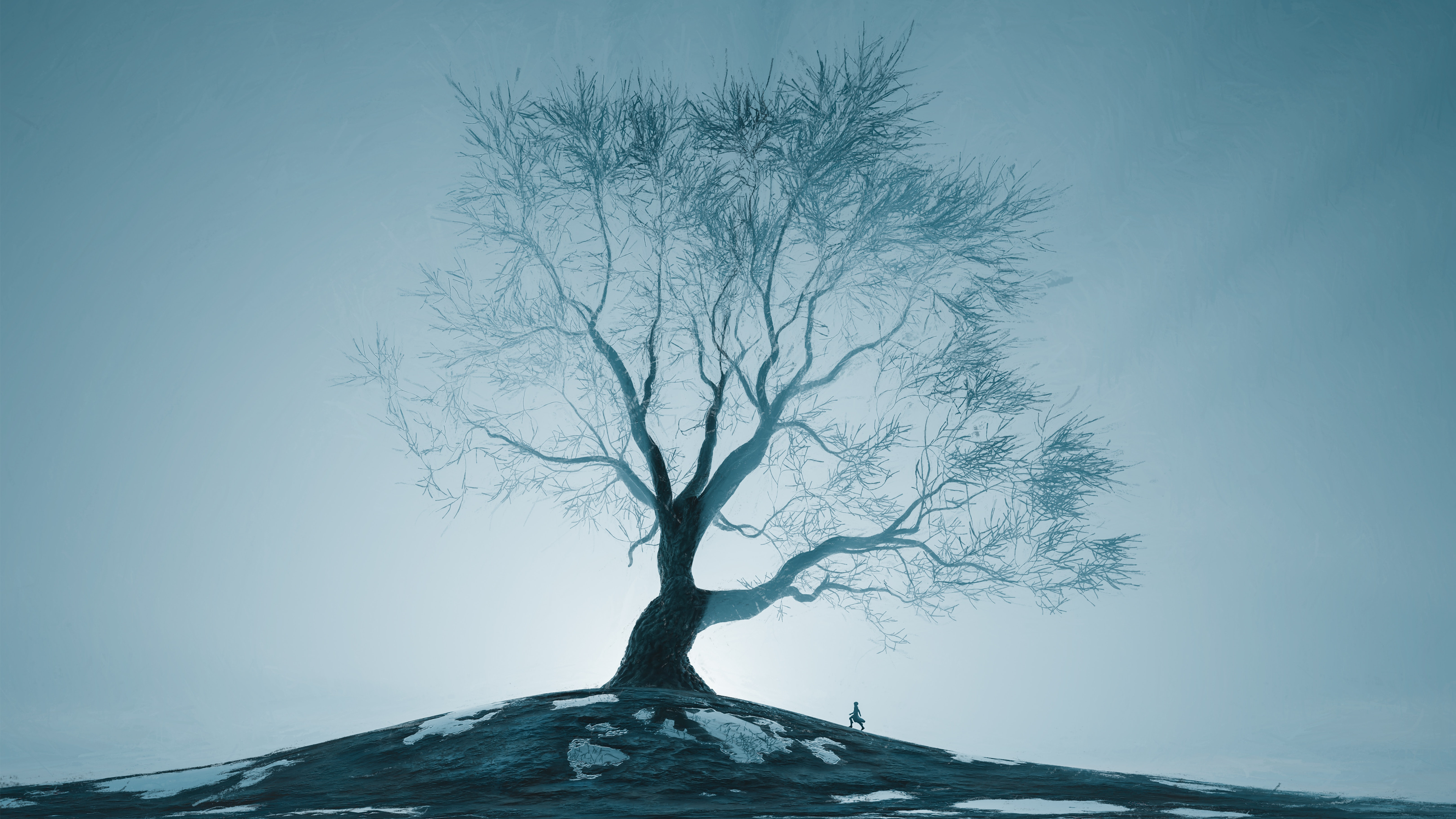 数字艺术 艺术品 插图 自然 风景 树木 电脑壁纸 4K壁纸