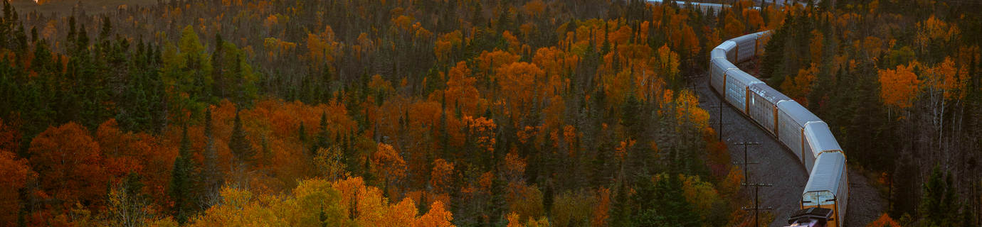 11550+份高清 4K / 8K 壁纸图片提供免费下载！