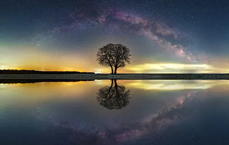 自然 银河系 水 倒影 树木 恒星 4K壁纸