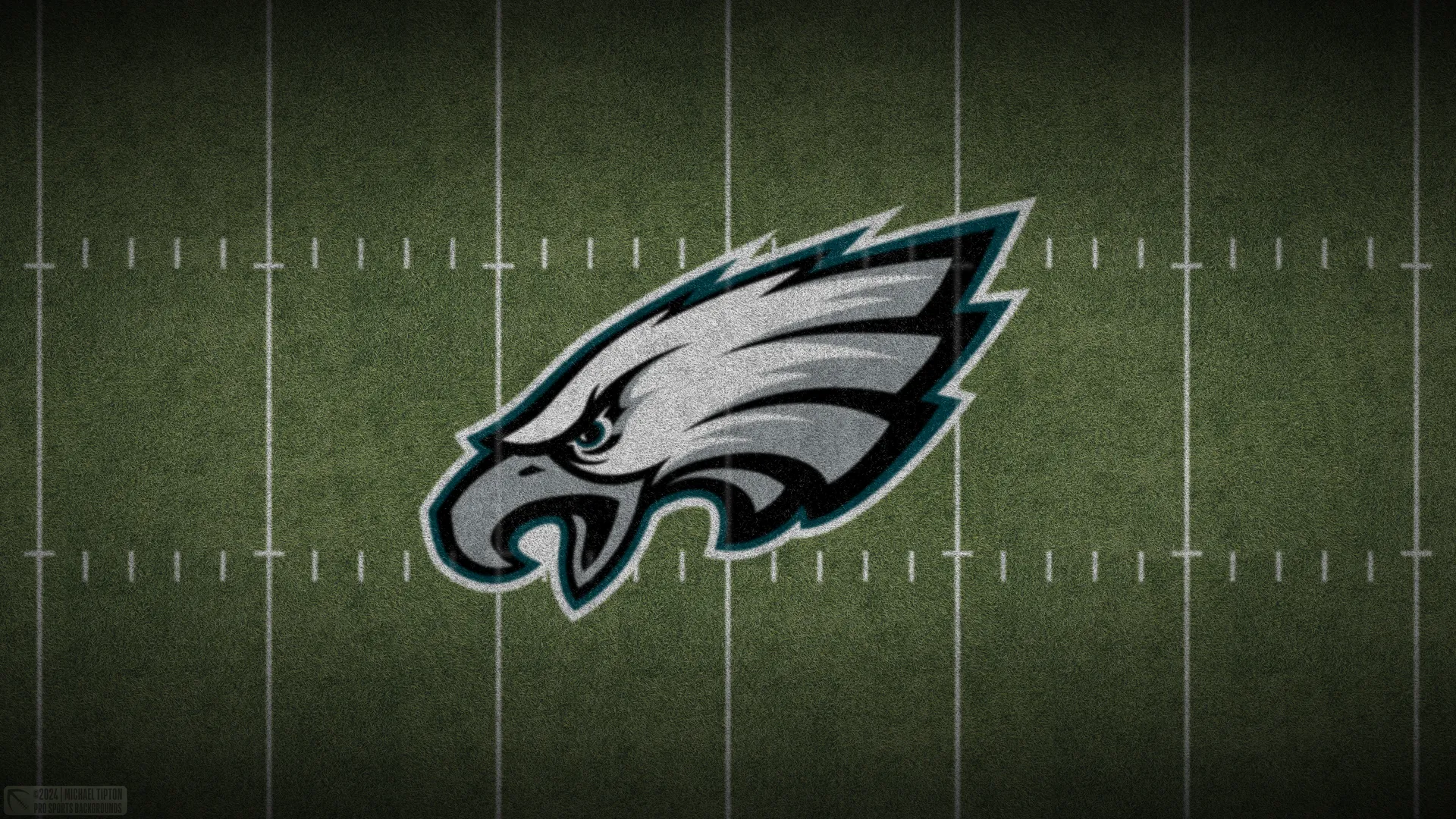 老鹰队 NFL 足球 草地 体育 足球场 4K壁纸