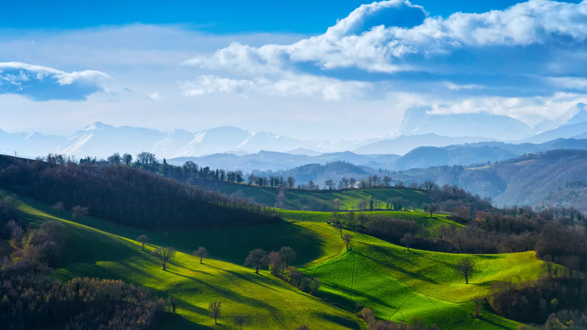 自然 风景 天空 云 草 田野 山丘 树木 阳光 远景 日出 森林 绿色 4K壁纸