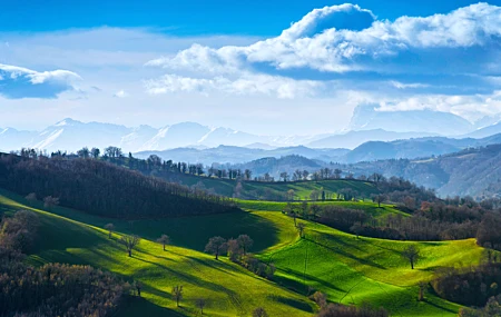 自然 风景 天空 云 草 田野 山丘 树木 阳光 远景 日出 森林 绿色 4K壁纸