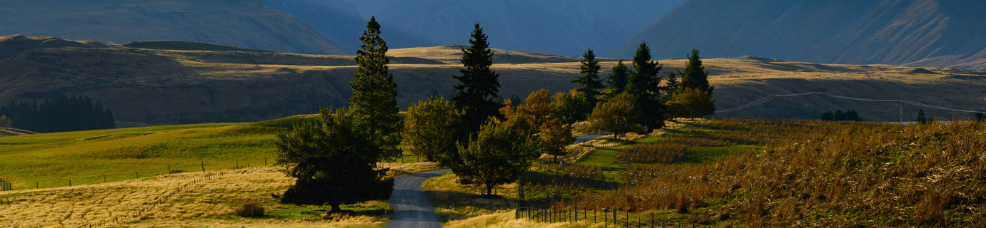 11546+份高清 4K / 8K 壁纸图片提供免费下载！