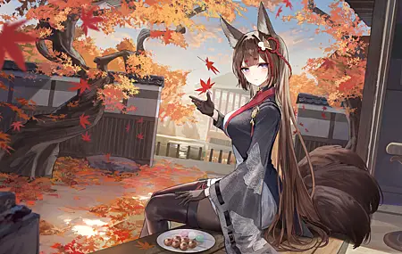 坐着 长发 黑发 蓝眼睛 耳朵 尾巴 动漫 女孩 连裤袜 高跟鞋 尾巴 黑手套 头饰 落叶 盘子 食物 流苏 4K壁纸