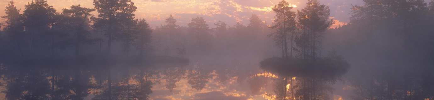 11550+份高清 4K / 8K 壁纸图片提供免费下载！