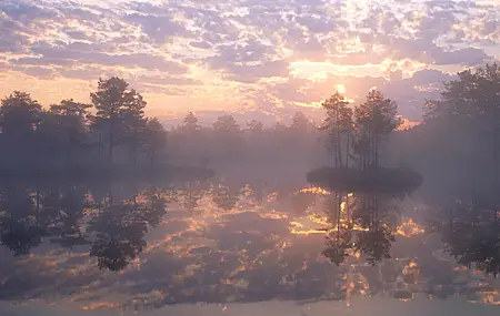 自然 景观 阳光 树木 雾 云 阳光 天空 水 森林 4K壁纸