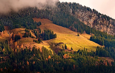 景观 山脉 树木 云 秋天 松树 超宽 自然 4K壁纸