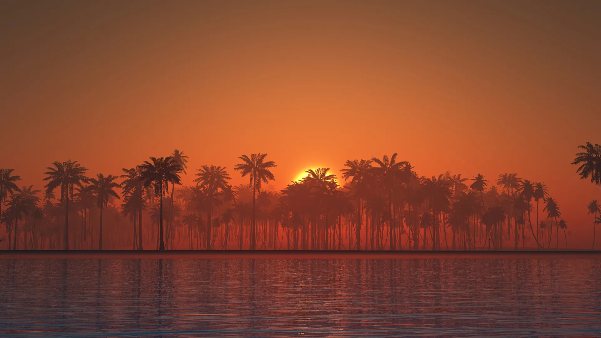 景观 椰子 日落 水 河流 风景 橙色天空 剪影 天空 倒影 棕榈树 晚霞 阳光 4K壁纸