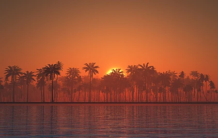 景观 椰子 日落 水 河流 风景 橙色天空 剪影 天空 倒影 棕榈树 晚霞 阳光 4K壁纸