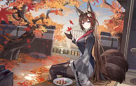 坐着 长发 黑发 蓝眼睛 耳朵 尾巴 动漫 女孩 连裤袜 高跟鞋 尾巴 黑手套 头饰 落叶 盘子 食物 流苏 4K壁纸