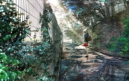 女学生 动漫女孩 树叶 袋 阳光 校服 围栏 反射 水坑 