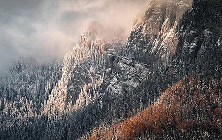 景观 山 树木 森林 8纸
