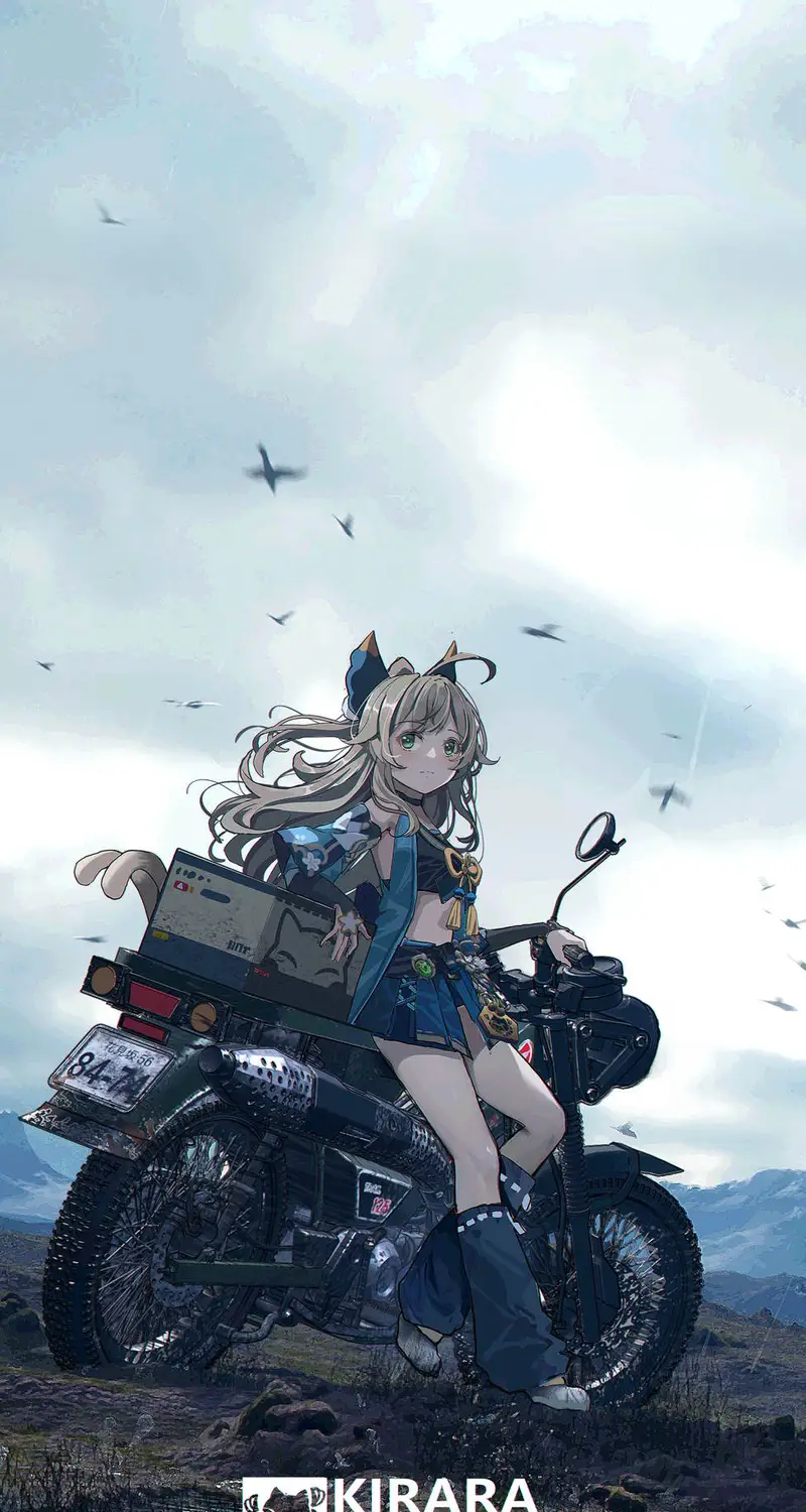 猫女孩 金发女郎 绿眼睛 目光移开 原神 基拉拉 原神 动漫 动漫女孩 猫耳朵 迷你裙 摩托车 田野 本田 雨 本田 天空 云 车辆 山 水印 4壁纸