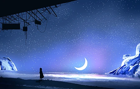 优雅 AI艺术 插图 极简主义 夜晚 星星 月亮 夜景 风景 自然 星夜 新月 星空 