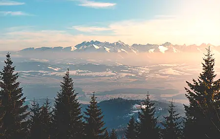 景观 自然 森林 山 云 远景 