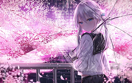  纯帕库卡伦 动漫女孩 校服 水手服 哭泣  雨 樱花 波克 夜 绘画