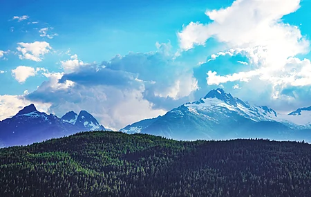 山 风景 自然 云 雪 天空 树 阳光