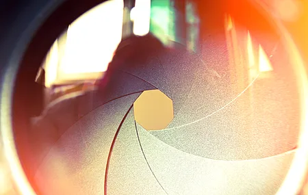 镜头 彩色 摄影 微距 