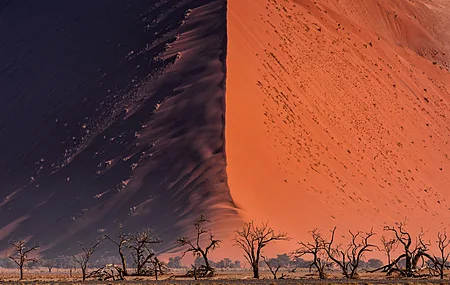 自然 风景 户外 纳米比亚 