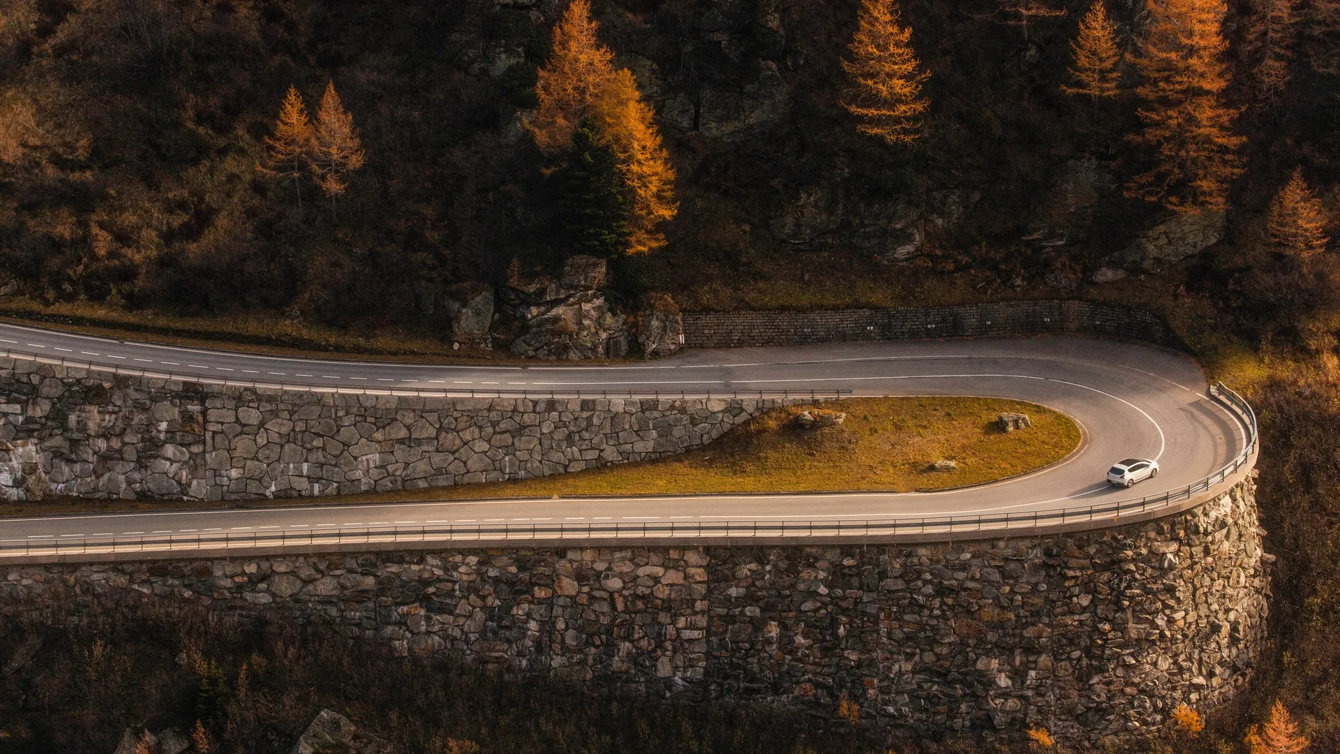 森林 秋天 曲折的道路 行驶的汽车 瑞士 松树 