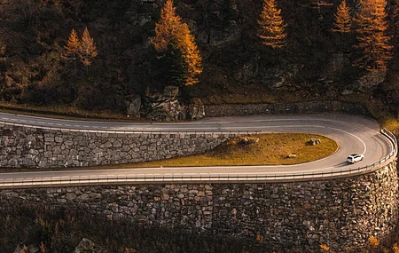 森林 秋天 曲折的道路 行驶的汽车 瑞士 松树 